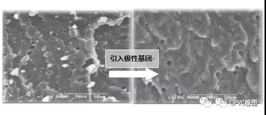 3.webp.jpg 3.webp.jpg